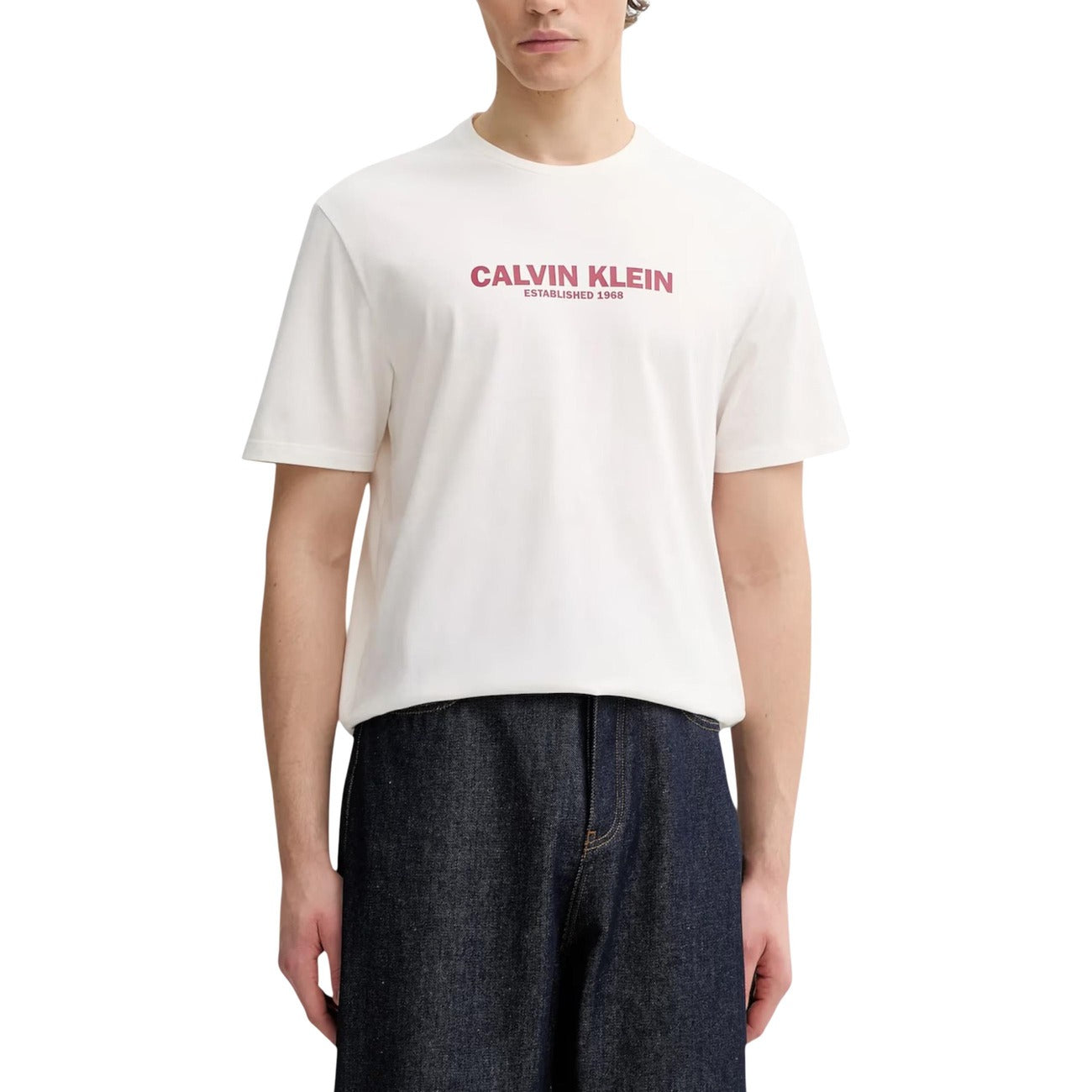 Calvin Klein T-Shirt Uomo